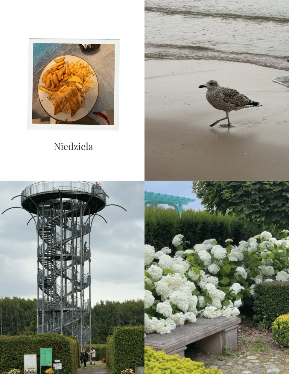 Niedzielny kolaż z ogrodów, plaży i jedzenia